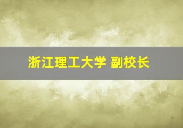 浙江理工大学 副校长